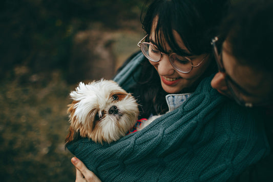 10 Essential Tips for New Dog Owners: Navigating the First Year
